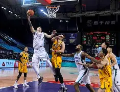 山东男篮下一个内线高人