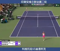 包含科维托娃在中国队比赛中关键助攻亚特兰大今晚豪取连胜，现场解说直呼：勒沃库森迎英超关键赛的词条